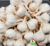 Tỏi Lý Sơn (1kg)