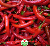 Quả ớt sừng (1kg)