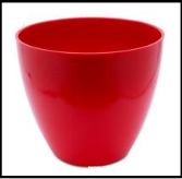 Chậu táo 30