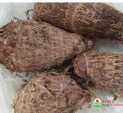 Củ khoai sọ (1kg)