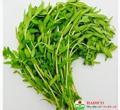 rau ngổ (1kg)