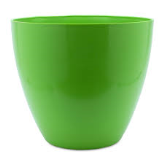 Chậu táo 16