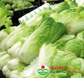 Rau cải thảo (1kg)