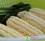 Ngô nếp tươi