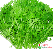 Rau cải cúc