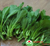Rau cải ngồng (1kg)