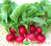 Hạt củ cảI đỏ (mầm) 100g (1805)