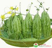 Quả mướp đắng (1kg)