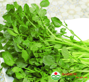 Cải xoong (1kg)