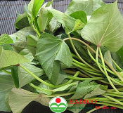Rau lang ngọn (1kg)