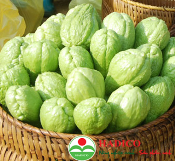 Quả su su (1kg)