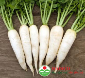 rau mầm củ cải trắng