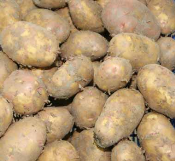 Khoai tây (1kg)