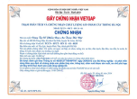 VIETGAP