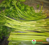 Rau cần ta