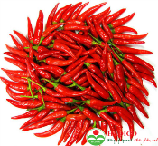 Quả ớt kim (1kg)