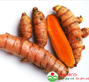 củ nghệ (1kg)