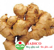 Củ gừng (1kg)