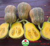 Bí đỏ cô tiên (1kg)