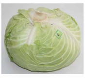 Bắp cải ta (1kg)