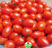 Cà chua bi (1kg)