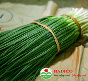 Hạt hành hoa