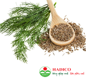 Hạt thì là 10g