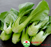 Rau cải chíp (1kg)