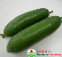 Quả bí xanh ta (1kg)