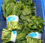 Rau cải ngồng (1kg)