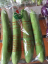 Quả mướp hương (1kg)