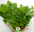 Hạt mồng tơi