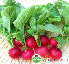 Hạt củ cảI đỏ (mầm) 100g (1805)