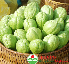 Quả su su (1kg)