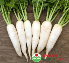 rau mầm củ cải trắng