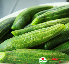 Quả lặc lày ( Mướp ngọt)