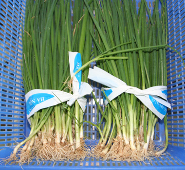 Hành lá (1kg)