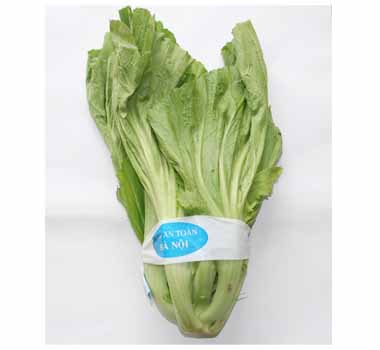 Dưa cải (1kg)