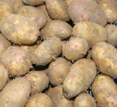 Khoai tây (1kg)