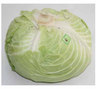Bắp cải ta (1kg)