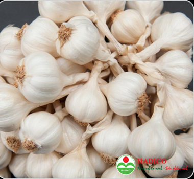 Tỏi Lý Sơn (1kg)