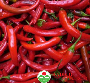 Quả ớt sừng (1kg)