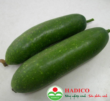 Quả bí xanh ta (1kg)
