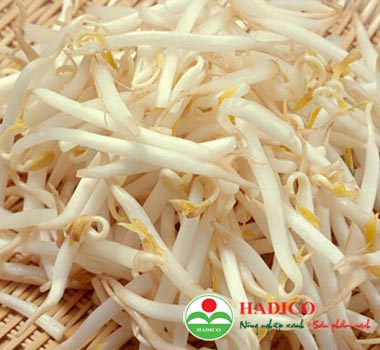 Giá đỗ (1kg)