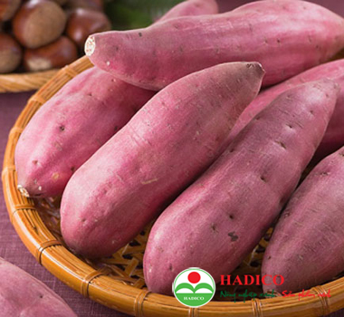 Củ khoai lang Nhật (1kg)
