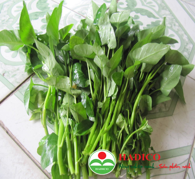 Hạt rau muống Bình Minh 100g  (1049)