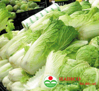 Rau cải thảo (1kg)