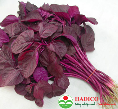 Rau dền (1kg)