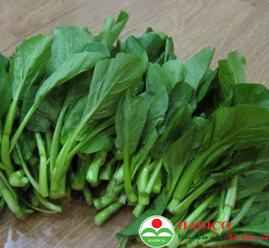 Rau cải ngồng (1kg)