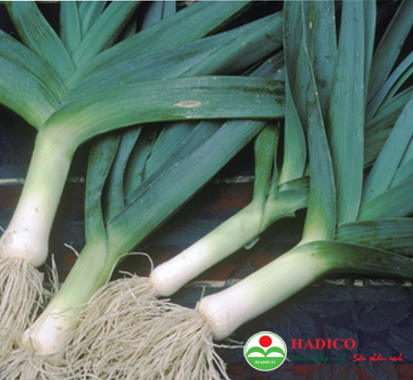 Cần tỏi tây (1kg)
